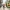 Demontage von Hydraulik Pressen Demontage von Hydraulik Pressen