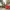 Demontage von Hydraulik Pressen Demontage von Hydraulik Pressen